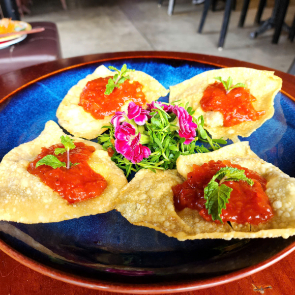 Fired Wonton